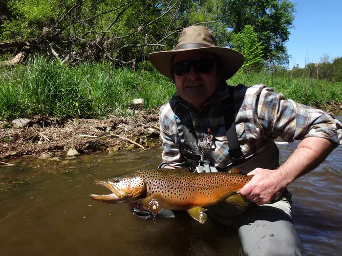 An angler kneeling in a summer river with a brown trout held low to the water