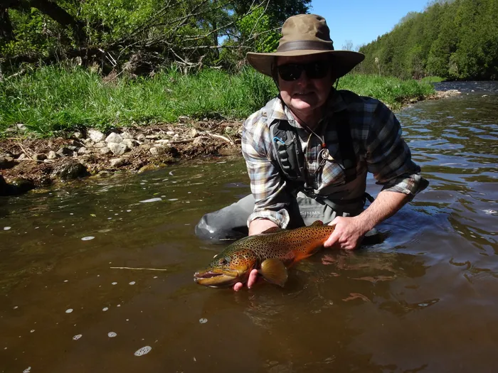 An angler releasing a brown trout back into a Southern Ontario river
