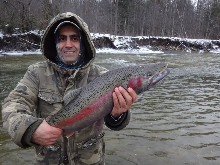 A steelhead with a deep pink stripe held briefly above the river