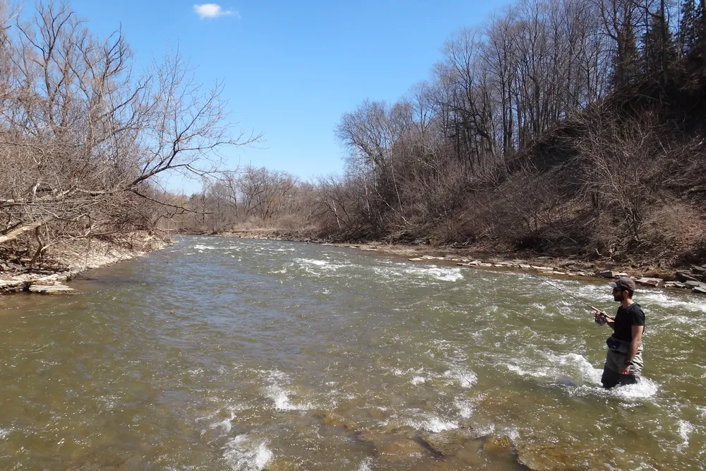 An angler wading a wide spring river holding a long centerpin rod, shale banks behind