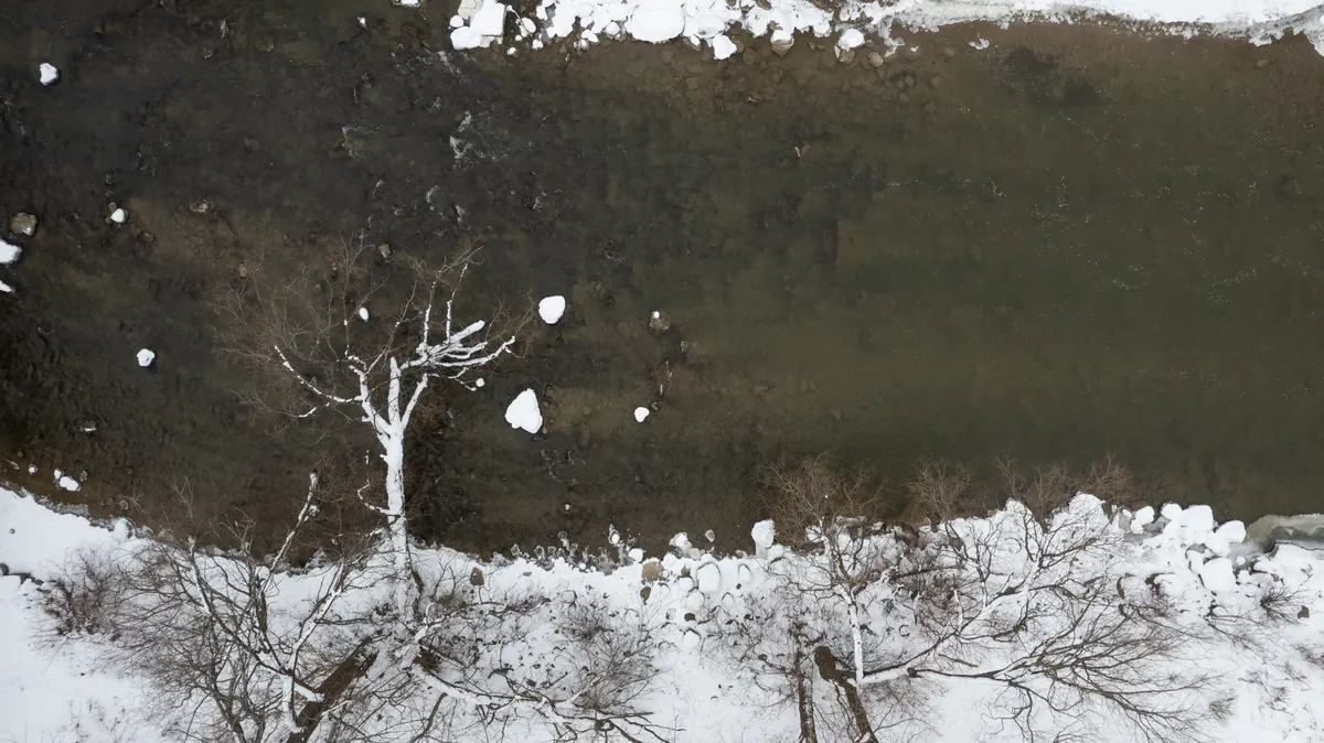 An aerial view of a Southern Ontario river winding through winter woodland
