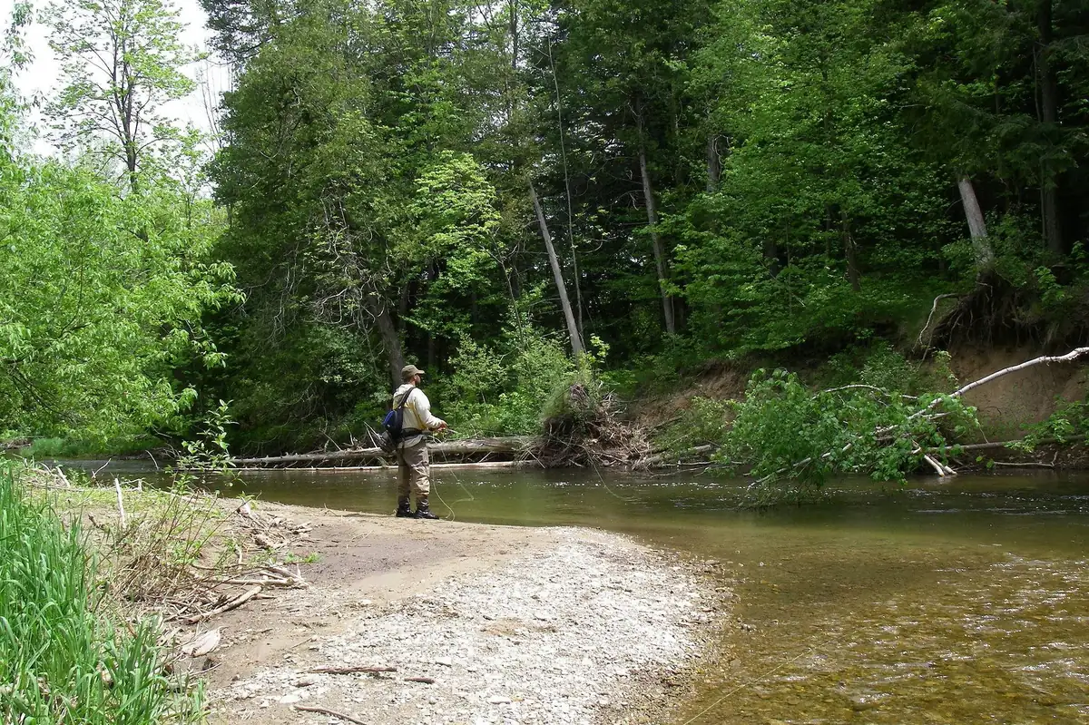 A narrow canopied stretch of the upper Credit River tumbling over rock into clear pocket water