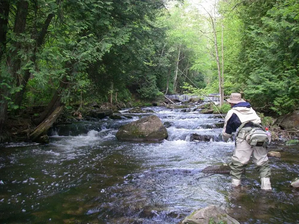 A narrow canopied stretch of the upper Credit River tumbling over rock into pocket water