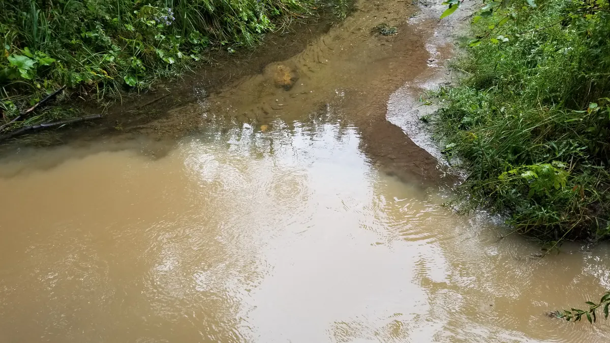 A smaller Southern Ontario tributary creek running clear between wooded banks