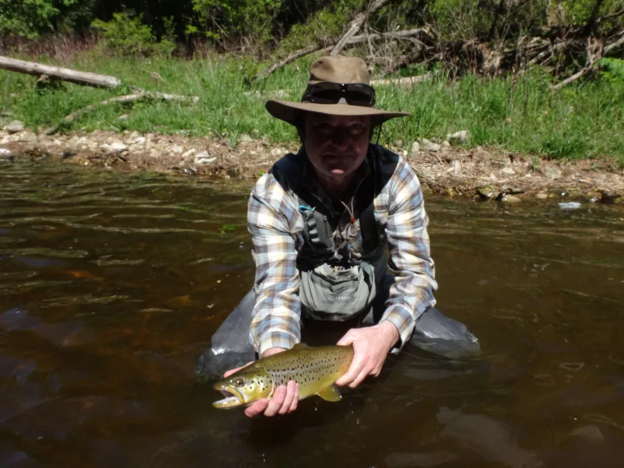 A guide kneeling in a summer river holding a golden brown trout low to the water before release